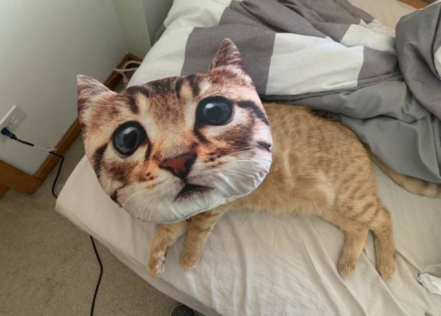 Acid Picdump. Part 2 (92 pics)