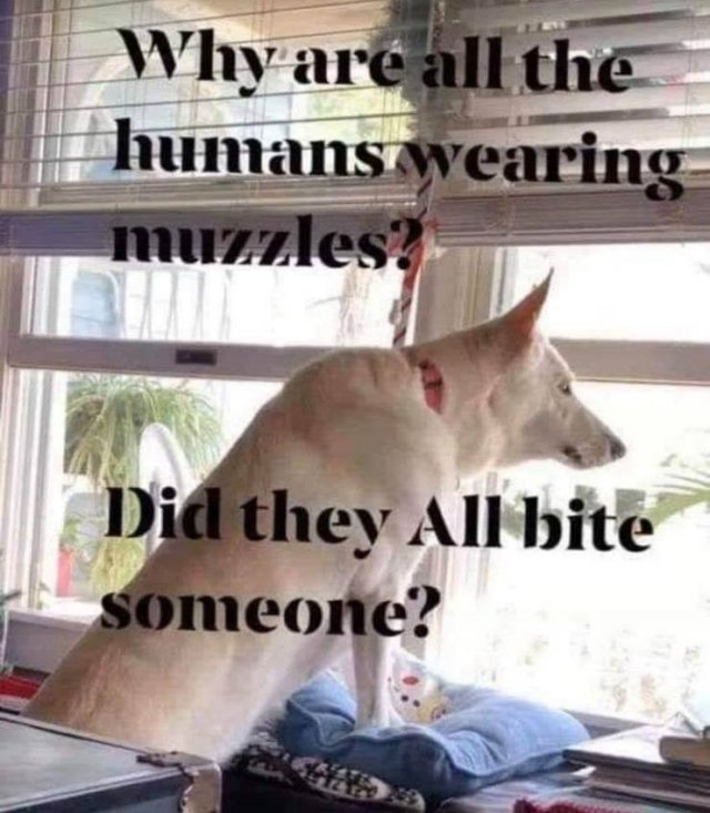 Acid Picdump. Part 2 (92 pics)