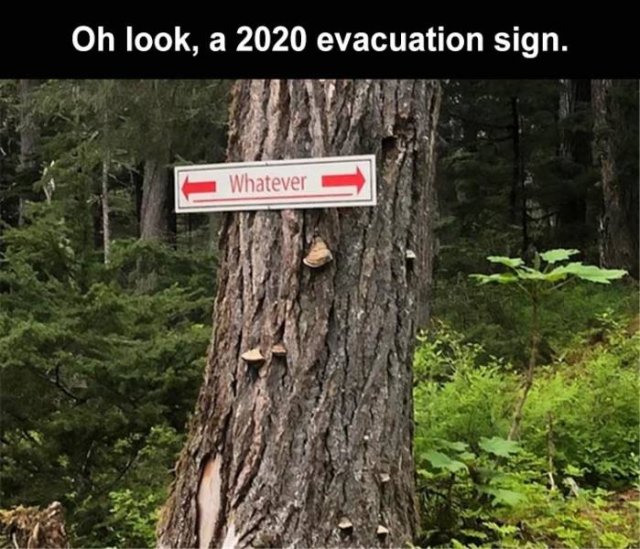 Acid Picdump. Part 2 (92 pics)