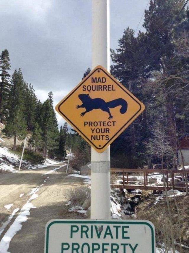 Acid Picdump. Part 2 (92 pics)