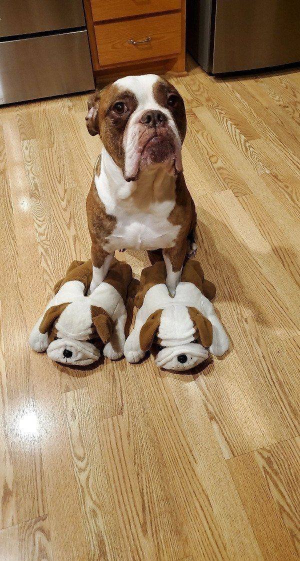 Acid Picdump. Part 2 (95 pics)