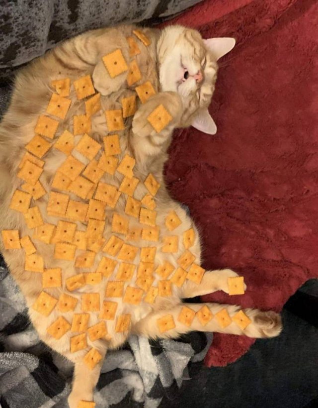 Acid Picdump. Part 2 (95 pics)