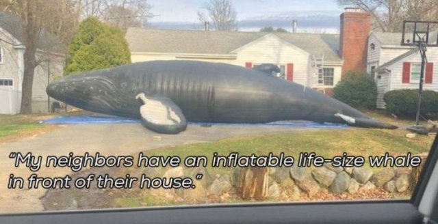 Acid Picdump. Part 2 (95 pics)