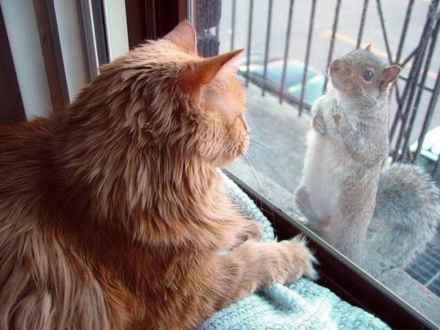 Acid Picdump. Part 2 (95 pics)