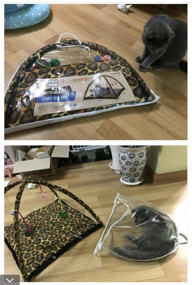 Acid Picdump. Part 2 (92 pics)