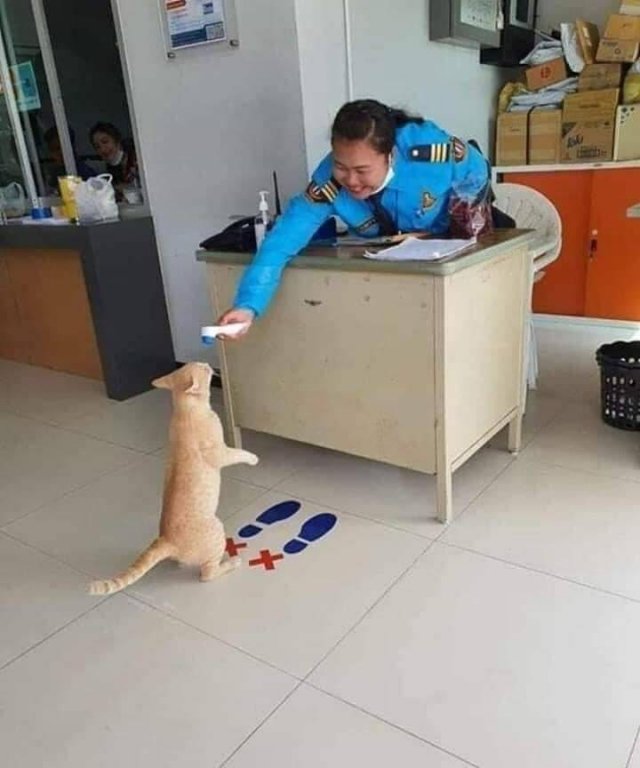 Acid Picdump. Part 2 (92 pics)
