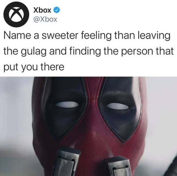Call Of Duty: Warzone Memes (32 pics)