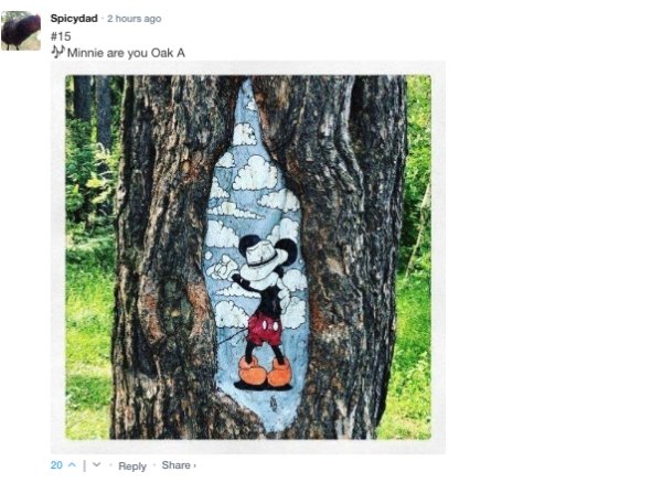 Sarcastic Comments (62 pics)