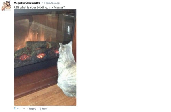 Sarcastic Comments (62 pics)