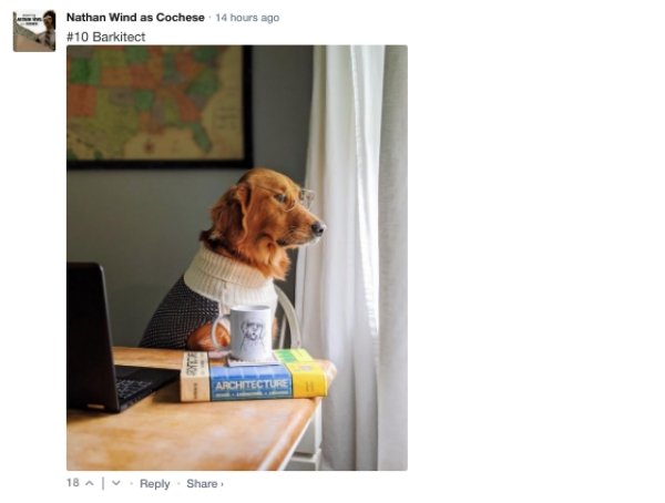 Sarcastic Comments (62 pics)