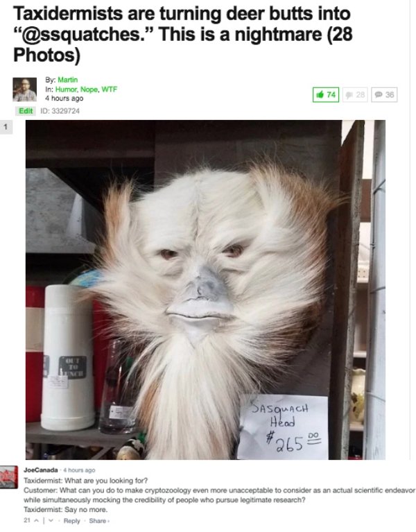 Sarcastic Comments (62 pics)