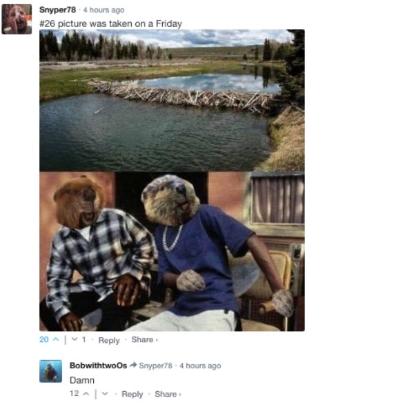 Sarcastic Comments (62 pics)