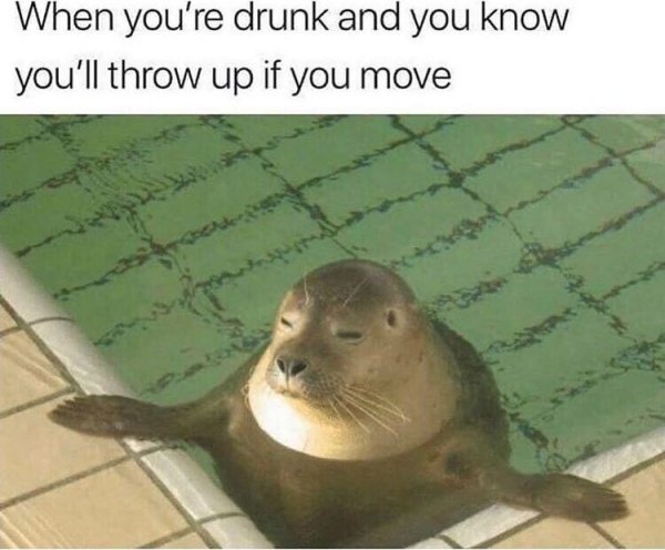 Alcohol Memes And Pictures (26 pics)