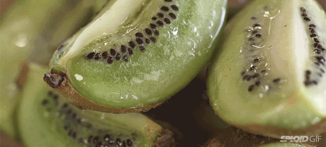 People Share Their Odd Habits (16 gifs) People Share Their Odd Habits (16 gifs)