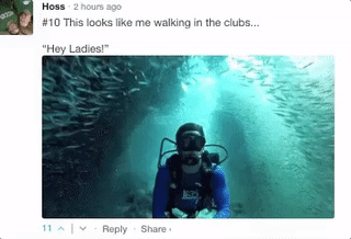 Sarcastic Comments (62 pics)