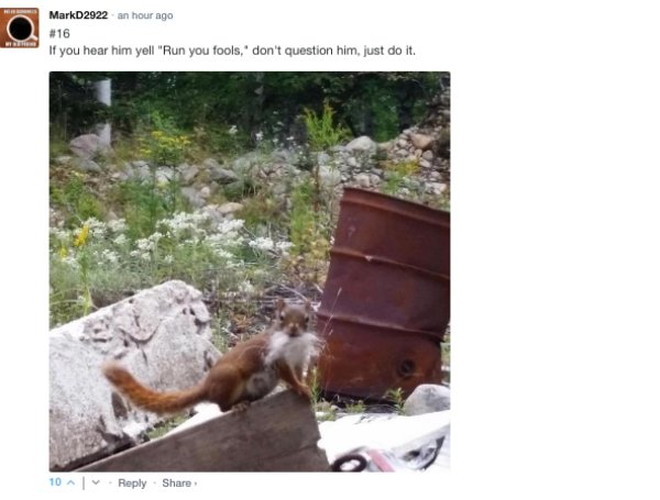 Sarcastic Comments (62 pics)