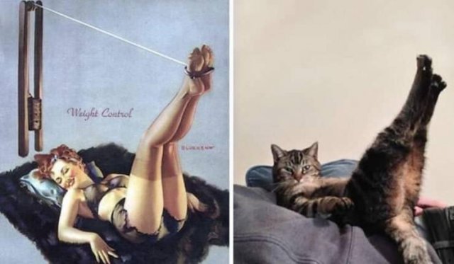 Acid Picdump. Part 2 (95 pics)