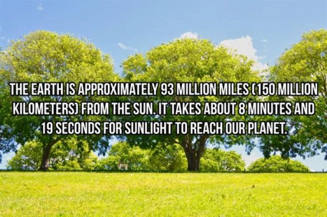 Facts About Earth (20 pics)