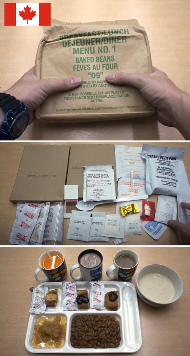 Military Food Rations (14 pics)