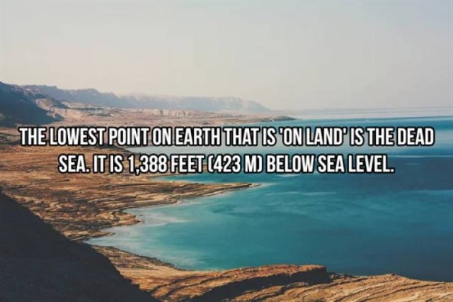 Facts About Earth (20 pics)