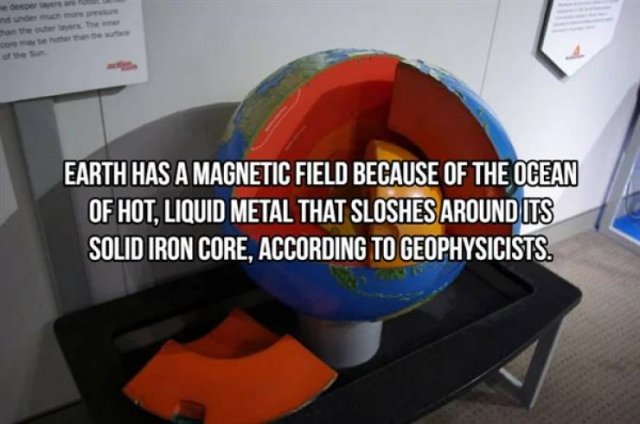 Facts About Earth (20 pics)