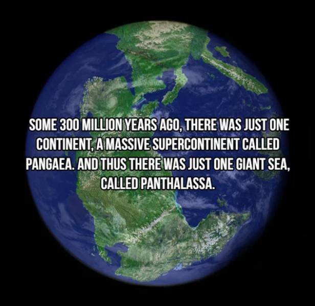 Facts About Earth (20 pics)