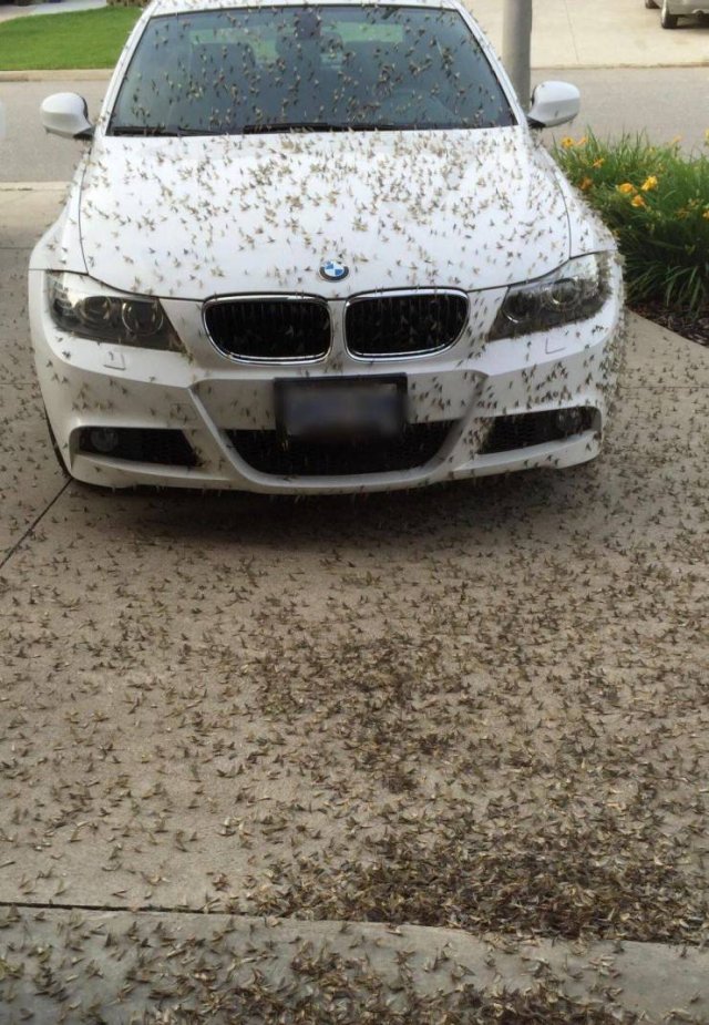 Bad Days Happen (51 pics)