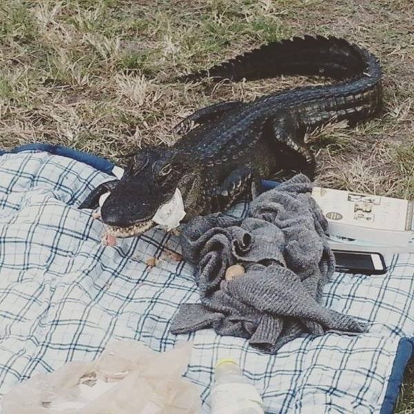 Bad Days Happen (51 pics)
