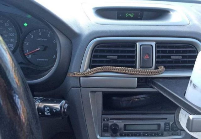 Bad Days Happen (51 pics)