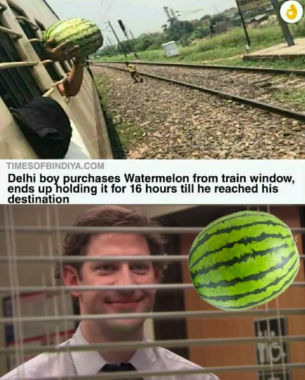 Random Funny Memes (29 pics)