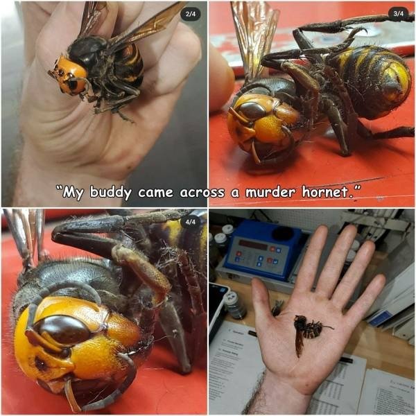 OMG Pictures (39 pics)
