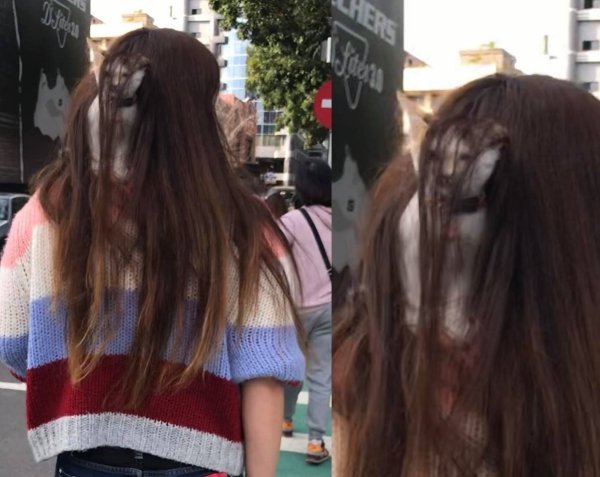 OMG Pictures (39 pics)