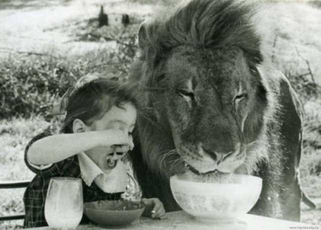 Acid Picdump. Part 2 (94 pics)