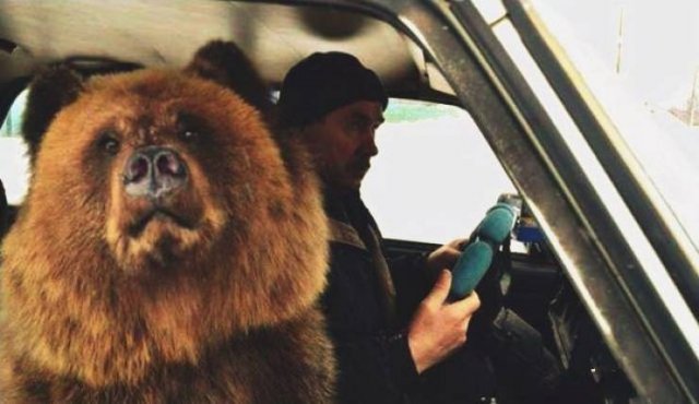 Acid Picdump. Part 2 (94 pics)