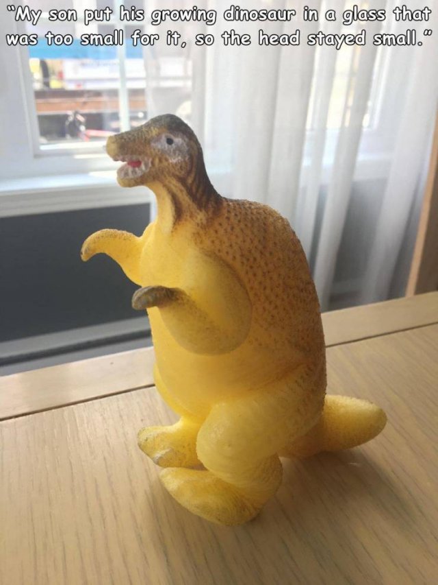 Acid Picdump. Part 2 (94 pics)