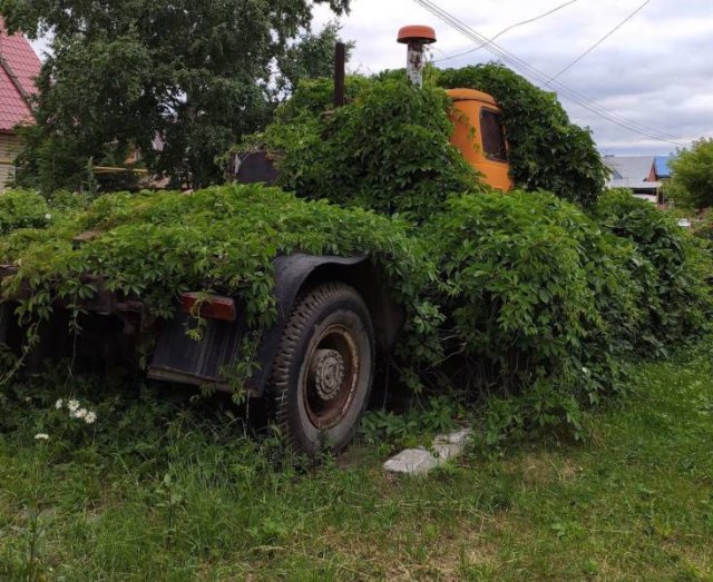 Acid Picdump. Part 2 (94 pics)