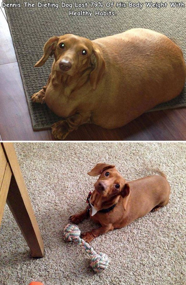 Acid Picdump. Part 2 (94 pics)
