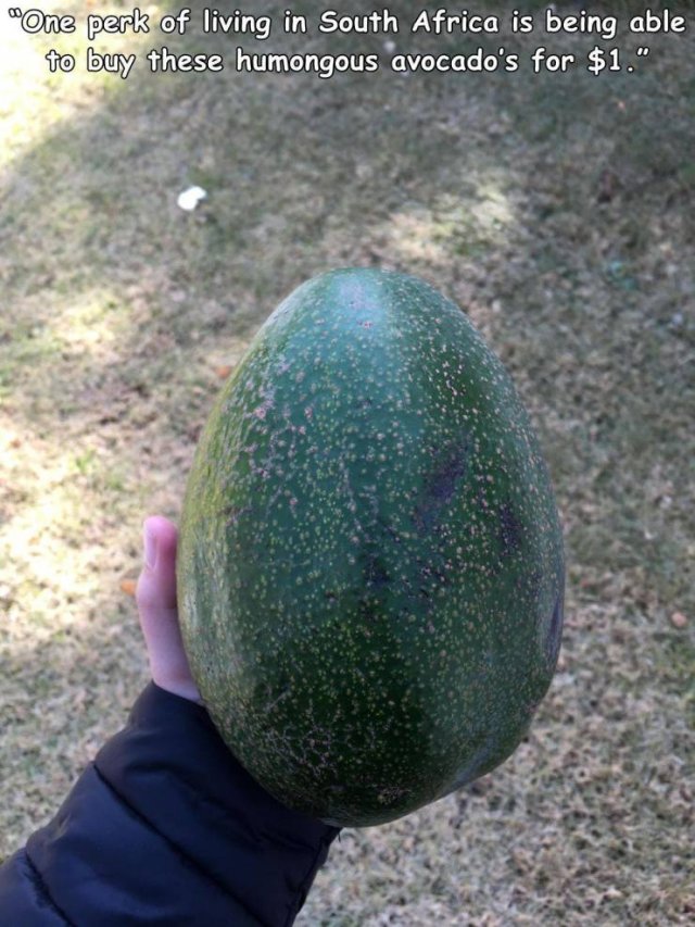 Acid Picdump. Part 2 (94 pics)