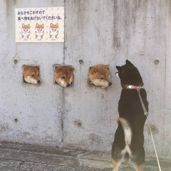 Acid Picdump. Part 2 (94 pics)
