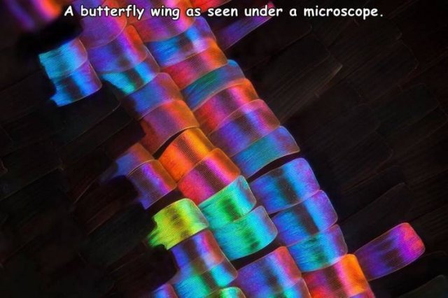 Acid Picdump. Part 2 (94 pics)