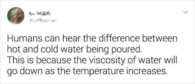 Random Facts (19 pics)
