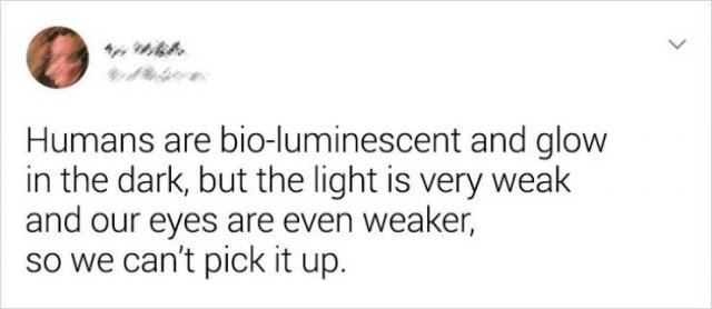 Random Facts (19 pics)