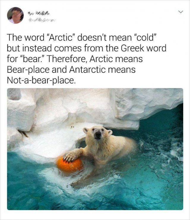 Random Facts (19 pics)