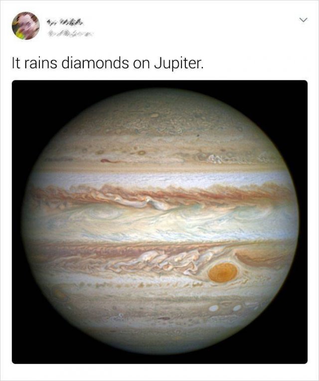 Random Facts (19 pics)