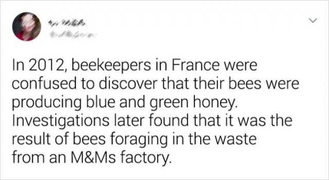Random Facts (19 pics)