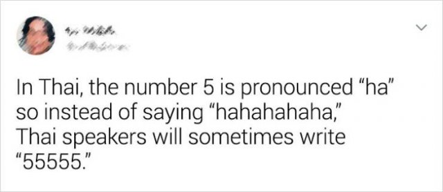 Random Facts (19 pics)