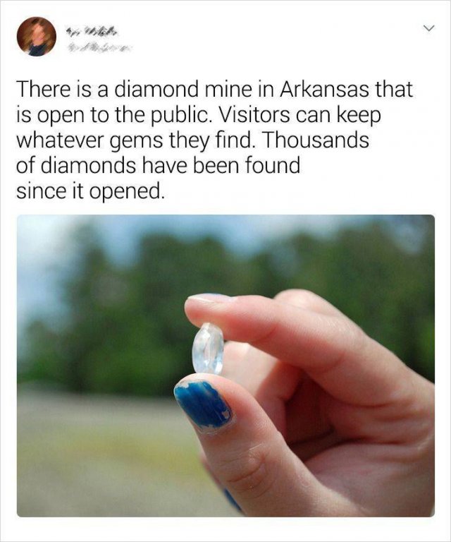 Random Facts (19 pics)