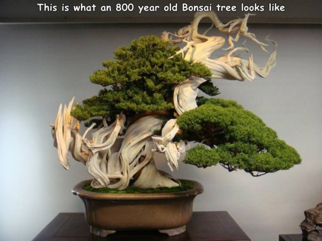 Acid Picdump. Part 1 (94 pics)
