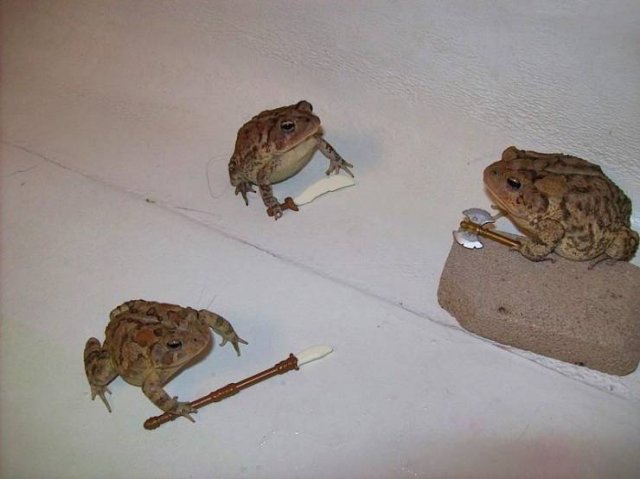 Acid Picdump. Part 1 (94 pics)