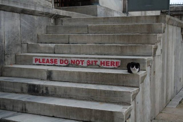 Acid Picdump. Part 1 (94 pics)
